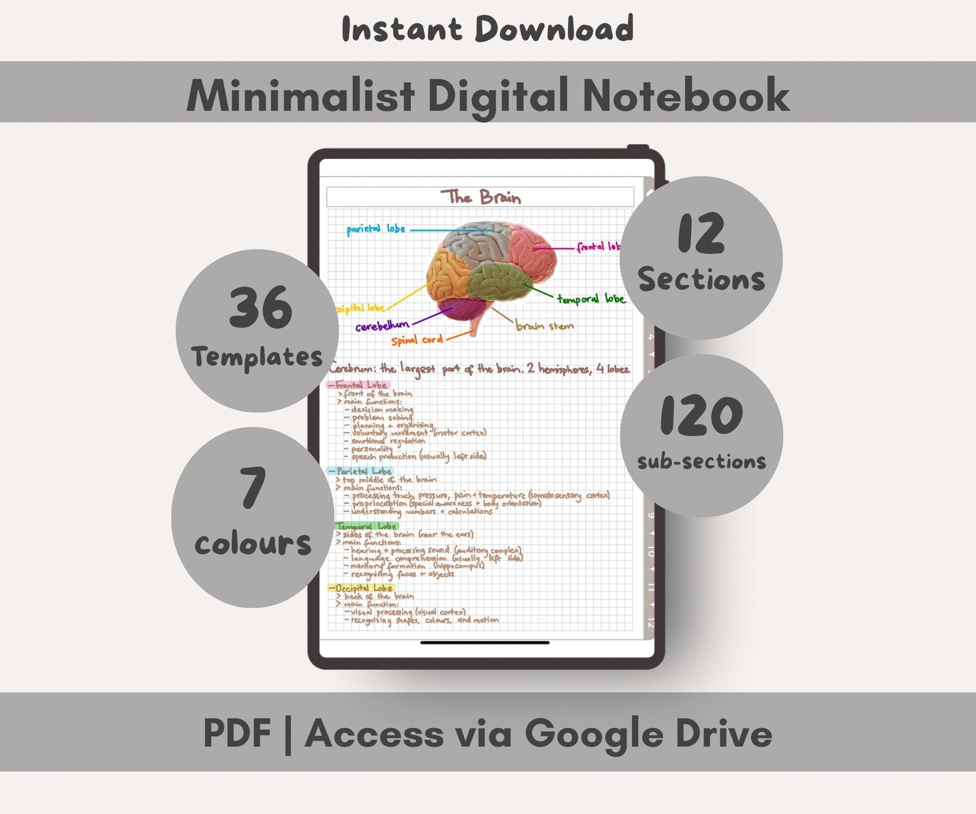 Minimalist digital notebook with brain diagram on a tablet screen, surrounded by text about features.