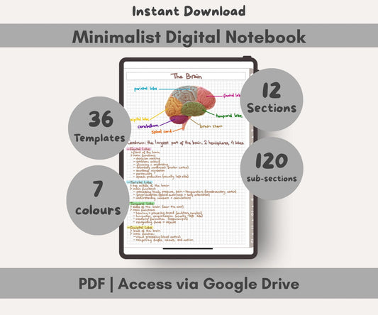 Minimalist digital notebook with brain diagram on a tablet screen, surrounded by text about features.
