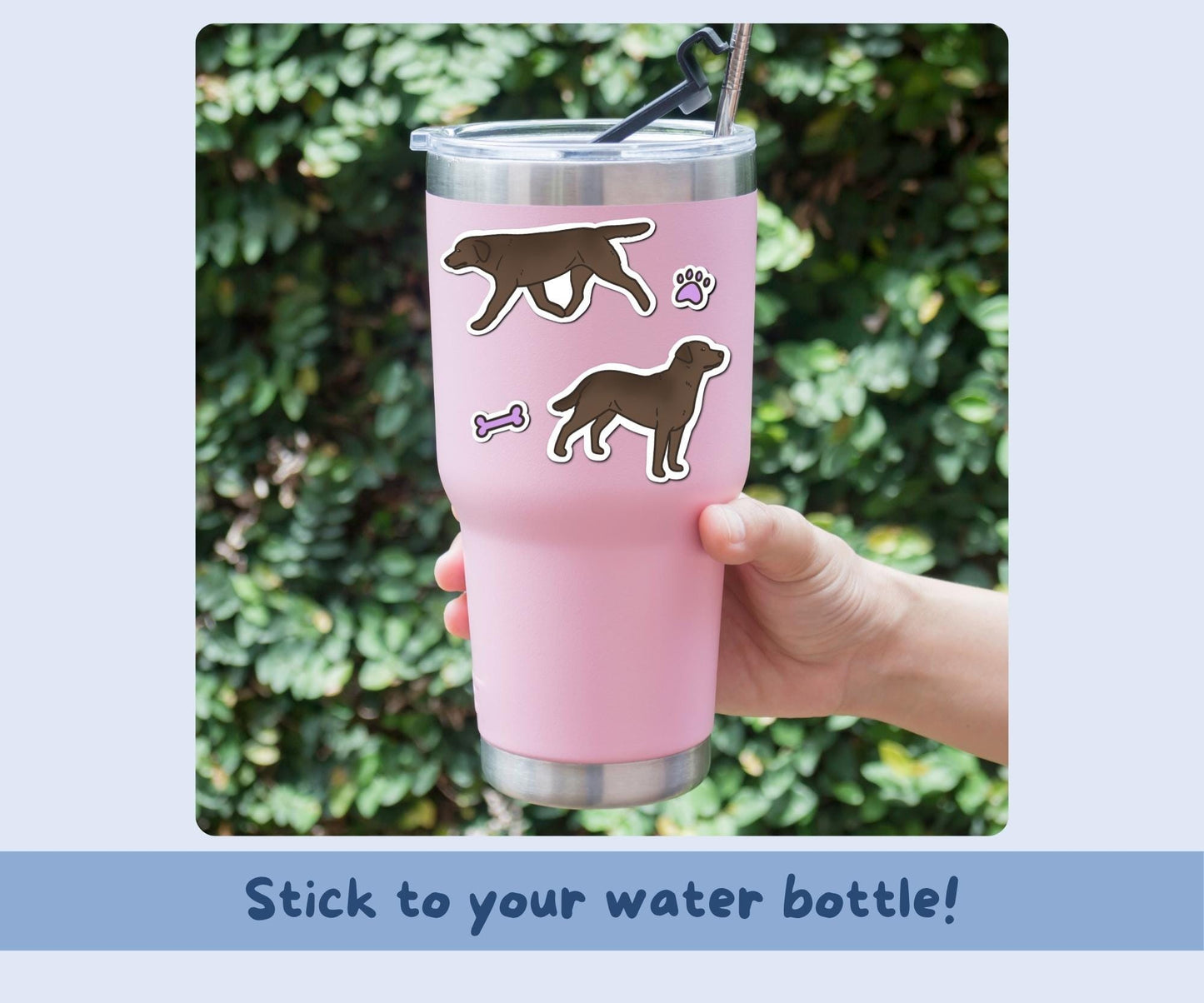 Chocolate Lab Sticker Sheet | Labrador Dog Kiss-Cut Stickers