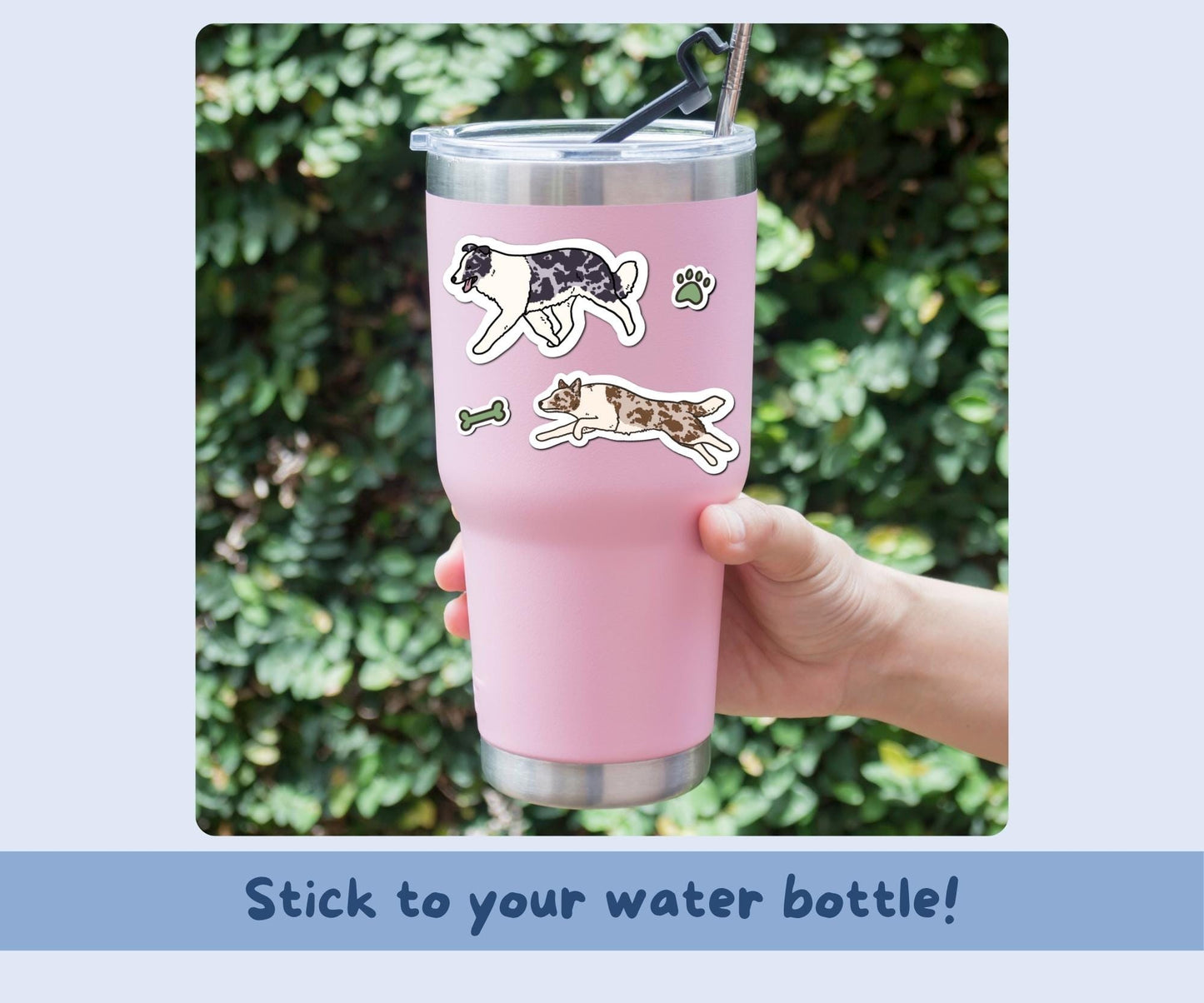 Border Collie Sticker Sheet | Mixed Border Collie Kiss-Cut Stickers