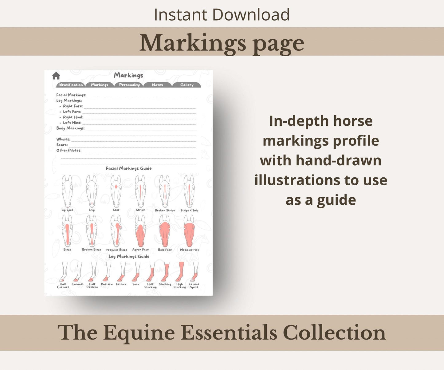 Comprehensive Horse Profile Bundle | Printable Equine Record Keeper