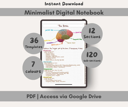 Minimalist digital notebook with brain diagram on a tablet screen, surrounded by text about features.