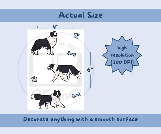 Border Collie Sticker Sheet | Black & White Collie Dog Kiss-Cut Stickers