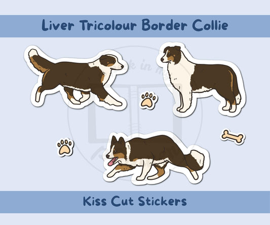 Border Collie Sticker Sheet | Liver Tricolour Border Collie Kiss-Cut Stickers