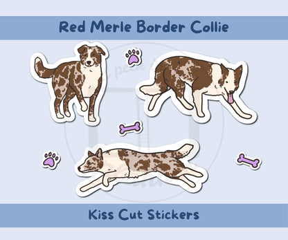 Border Collie Sticker Sheet | Red Merle Border Collie Kiss-Cut Stickers