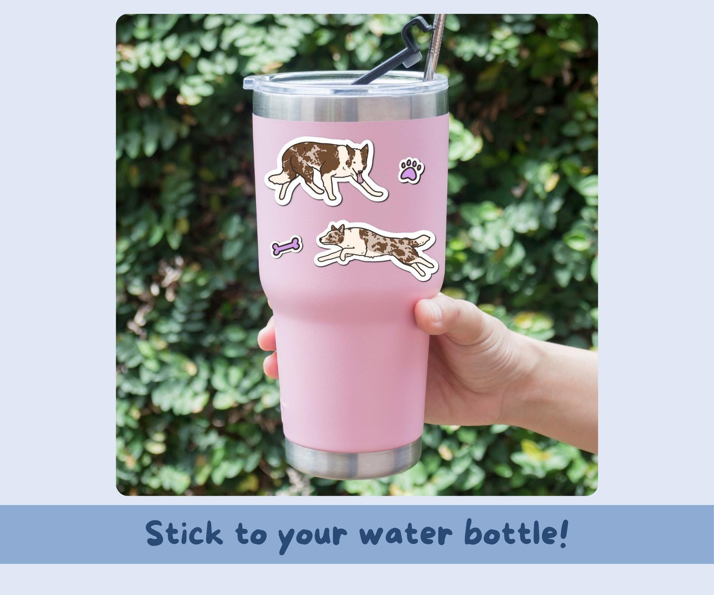 Border Collie Sticker Sheet | Red Merle Border Collie Kiss-Cut Stickers