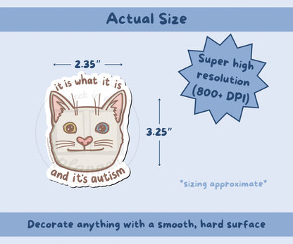 It Is What It Is, And Its Autism Cat Sticker