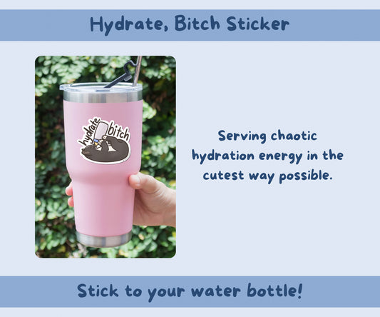 Hydrate, B*tch Sticker